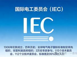 中外標(biāo)準(zhǔn)咨詢服務(wù)